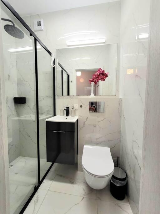 Apartment Sophie 3 Rooms, 2 Bathrooms, 8 Persons Cracovie Extérieur photo