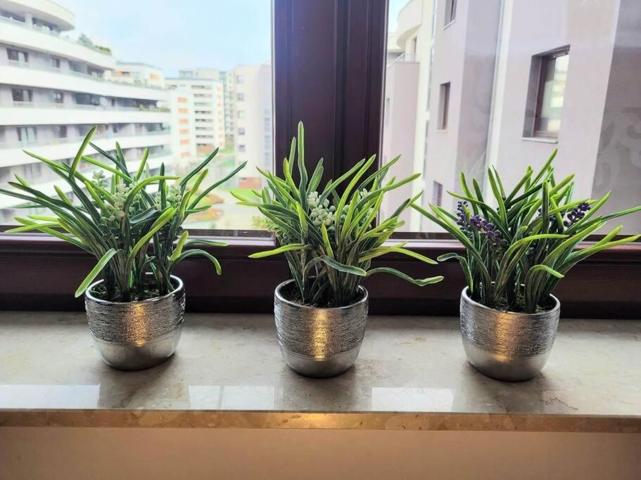 Apartment Sophie 3 Rooms, 2 Bathrooms, 8 Persons Cracovie Extérieur photo